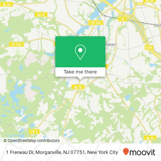 Mapa de 1 Freneau Dr, Morganville, NJ 07751