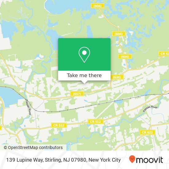 Mapa de 139 Lupine Way, Stirling, NJ 07980