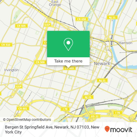 Mapa de Bergen St Springfield Ave, Newark, NJ 07103