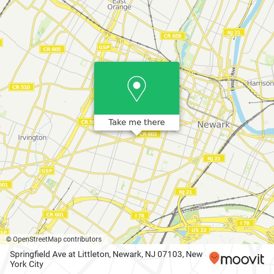 Springfield Ave at Littleton, Newark, NJ 07103 map