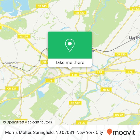 Mapa de Morris Molter, Springfield, NJ 07081