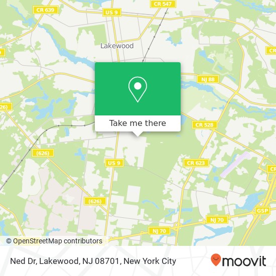 Mapa de Ned Dr, Lakewood, NJ 08701