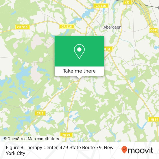 Figure 8 Therapy Center, 479 State Route 79 map