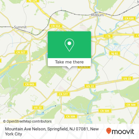 Mapa de Mountain Ave Nelson, Springfield, NJ 07081