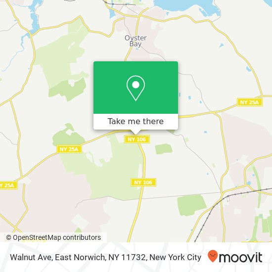 Walnut Ave, East Norwich, NY 11732 map