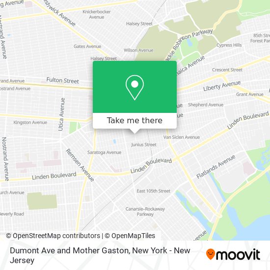 Dumont Ave and Mother Gaston map