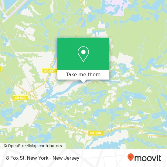 Mapa de 8 Fox St, Browns Mills, NJ 08015