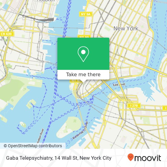 Gaba Telepsychiatry, 14 Wall St map