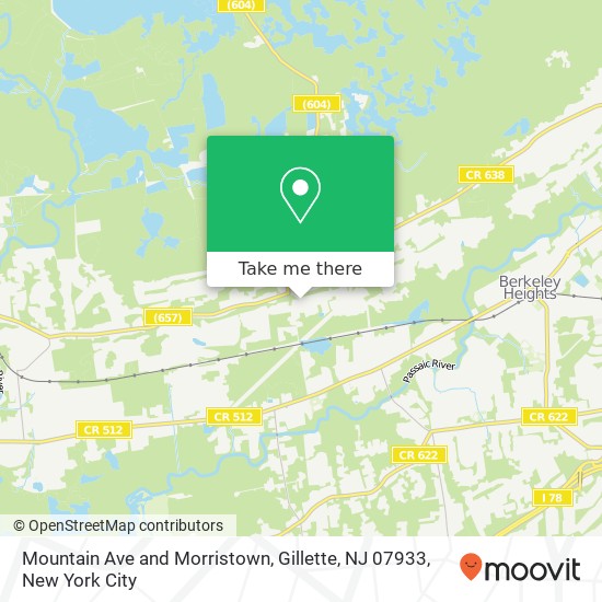 Mapa de Mountain Ave and Morristown, Gillette, NJ 07933