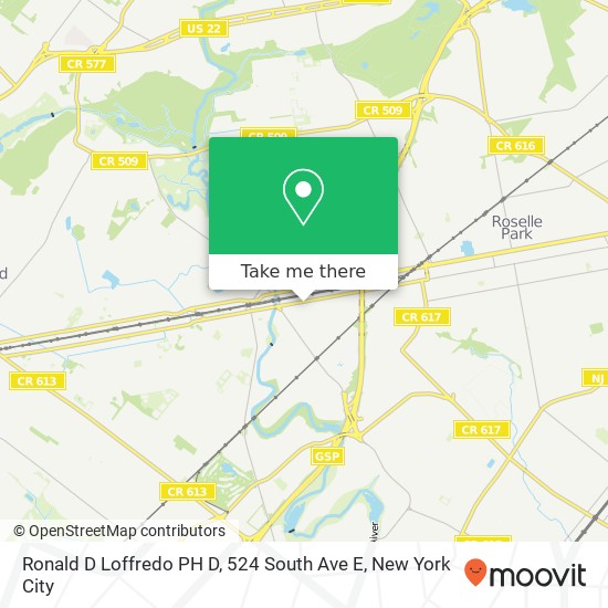 Mapa de Ronald D Loffredo PH D, 524 South Ave E