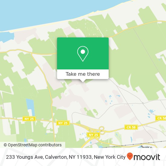 Mapa de 233 Youngs Ave, Calverton, NY 11933