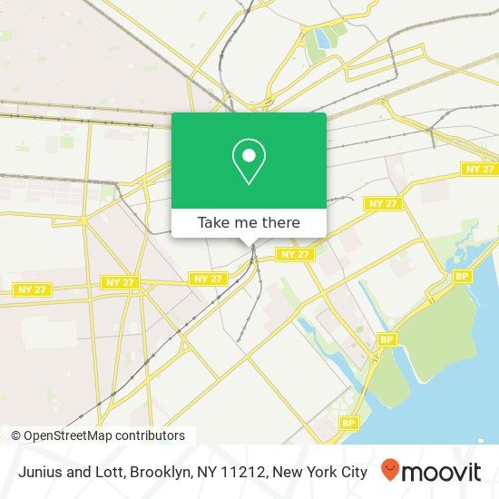 Junius and Lott, Brooklyn, NY 11212 map