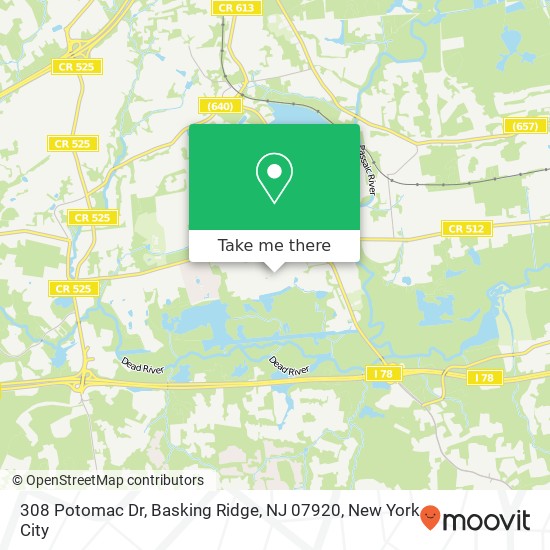 308 Potomac Dr, Basking Ridge, NJ 07920 map