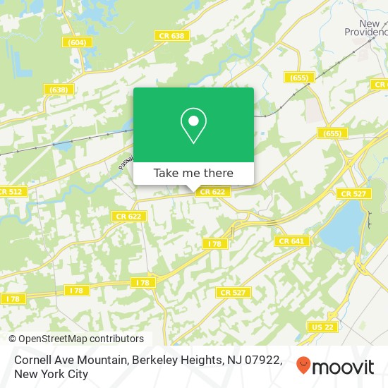 Cornell Ave Mountain, Berkeley Heights, NJ 07922 map