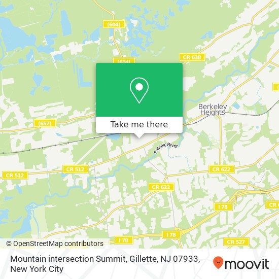 Mapa de Mountain intersection Summit, Gillette, NJ 07933