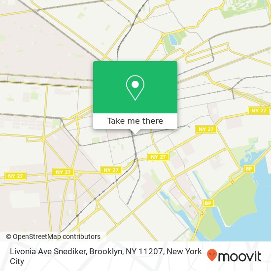 Livonia Ave Snediker, Brooklyn, NY 11207 map