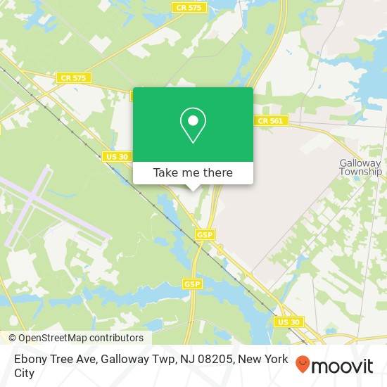 Mapa de Ebony Tree Ave, Galloway Twp, NJ 08205