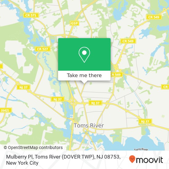 Mapa de Mulberry Pl, Toms River (DOVER TWP), NJ 08753