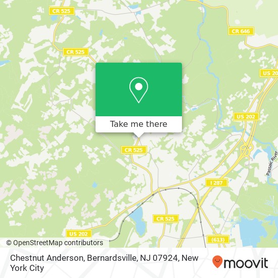 Mapa de Chestnut Anderson, Bernardsville, NJ 07924