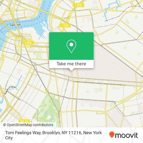 Mapa de Tom Feelings Way, Brooklyn, NY 11216