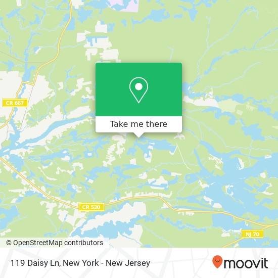 119 Daisy Ln, Browns Mills, NJ 08015 map