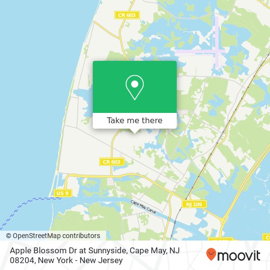 Mapa de Apple Blossom Dr at Sunnyside, Cape May, NJ 08204