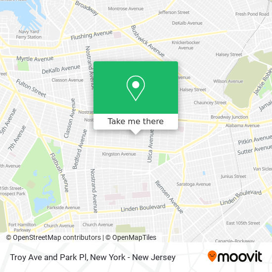 Troy Ave and Park Pl map