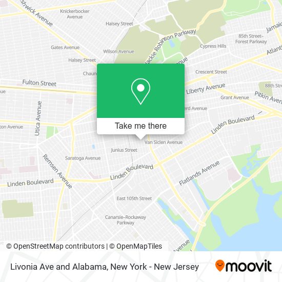 Mapa de Livonia Ave and Alabama