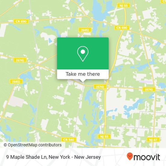 Mapa de 9 Maple Shade Ln, Elmer, NJ 08318