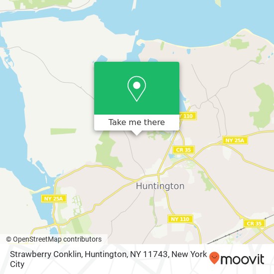Strawberry Conklin, Huntington, NY 11743 map