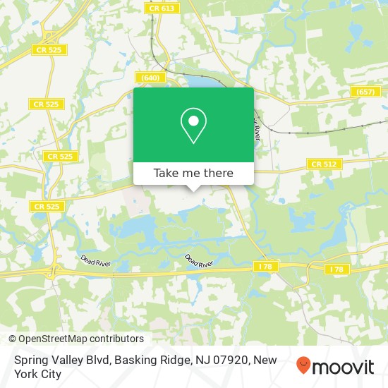 Mapa de Spring Valley Blvd, Basking Ridge, NJ 07920