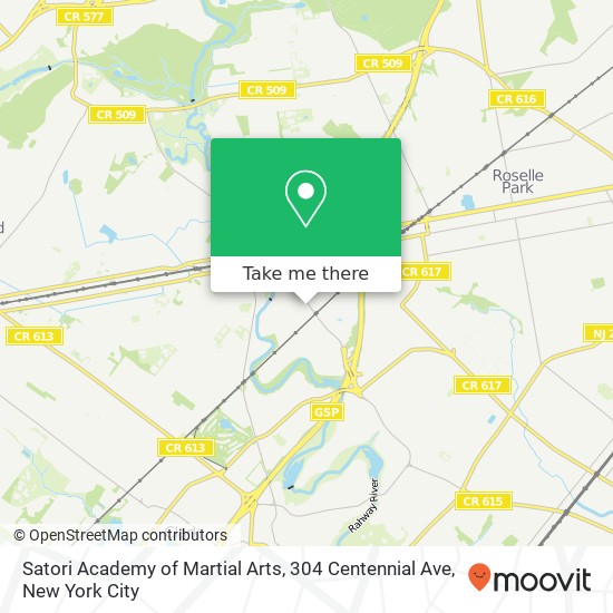 Mapa de Satori Academy of Martial Arts, 304 Centennial Ave