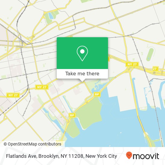 Flatlands Ave, Brooklyn, NY 11208 map