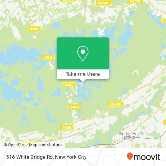 Mapa de 516 White Bridge Rd, Gillette, NJ 07933