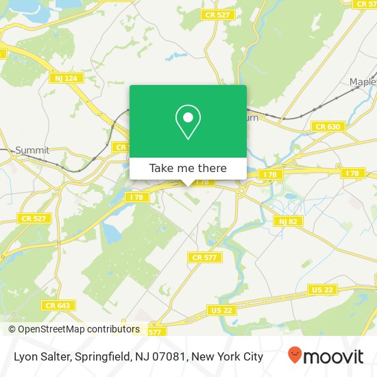 Mapa de Lyon Salter, Springfield, NJ 07081