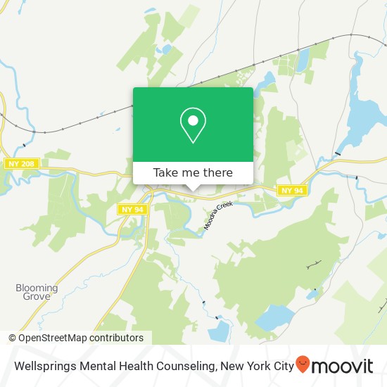 Mapa de Wellsprings Mental Health Counseling, 90 E Main St