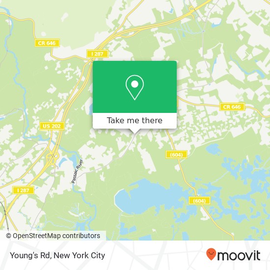 Young's Rd, Basking Ridge, NJ 07920 map