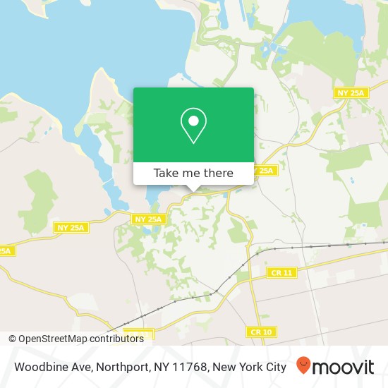 Woodbine Ave, Northport, NY 11768 map