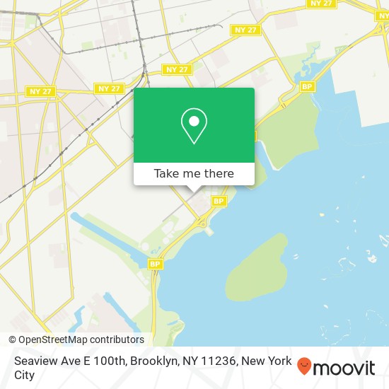 Seaview Ave E 100th, Brooklyn, NY 11236 map