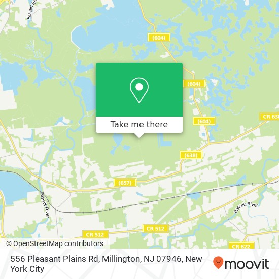 Mapa de 556 Pleasant Plains Rd, Millington, NJ 07946