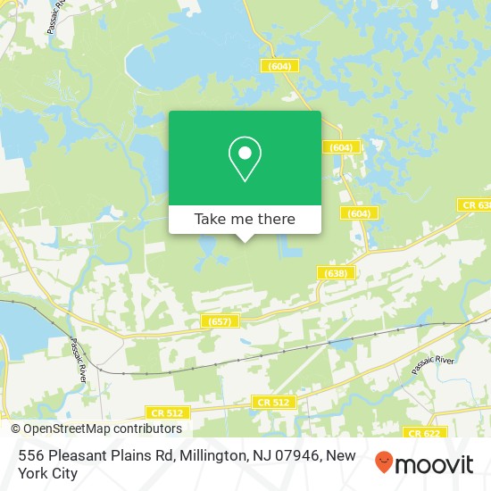 556 Pleasant Plains Rd, Millington, NJ 07946 map