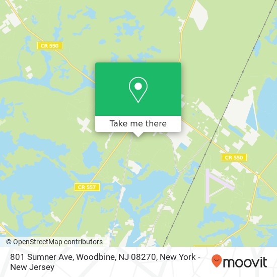 Mapa de 801 Sumner Ave, Woodbine, NJ 08270