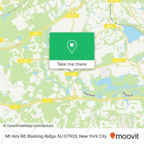 Mt Airy Rd, Basking Ridge, NJ 07920 map