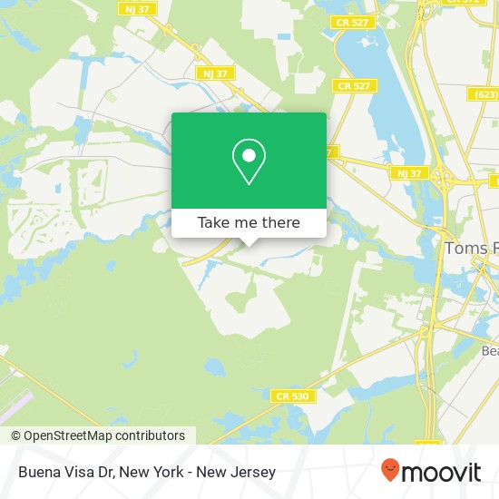 Mapa de Buena Visa Dr, Toms River, NJ 08757