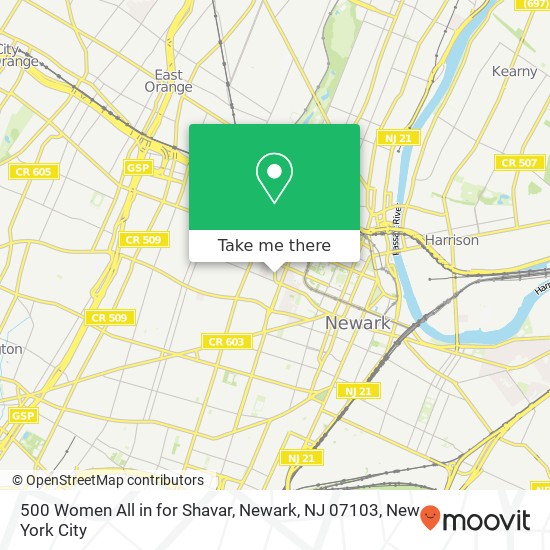 Mapa de 500 Women All in for Shavar, Newark, NJ 07103