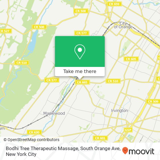 Bodhi Tree Therapeutic Massage, South Orange Ave map