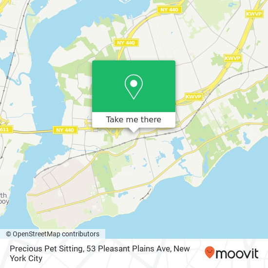 Mapa de Precious Pet Sitting, 53 Pleasant Plains Ave