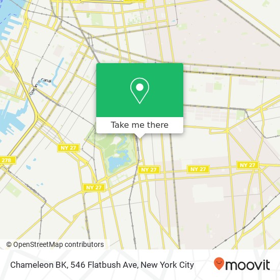 Mapa de Chameleon BK, 546 Flatbush Ave