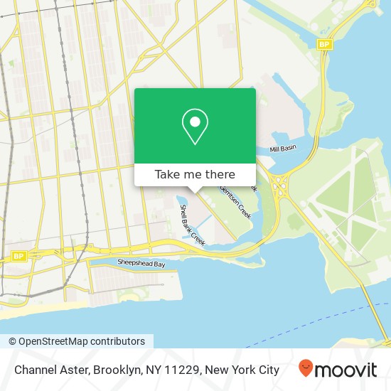 Channel Aster, Brooklyn, NY 11229 map