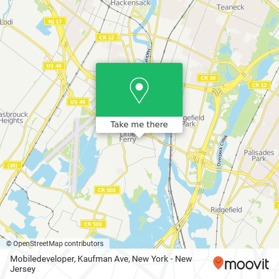 Mobiledeveloper, Kaufman Ave map